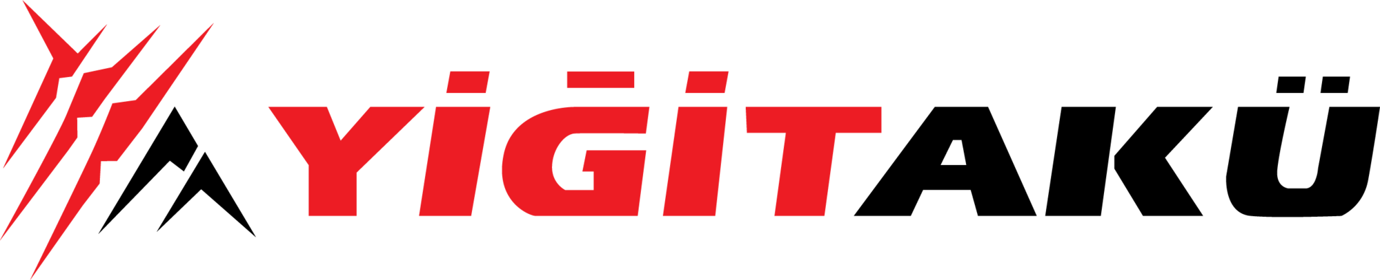 Yiğit Akü logosu